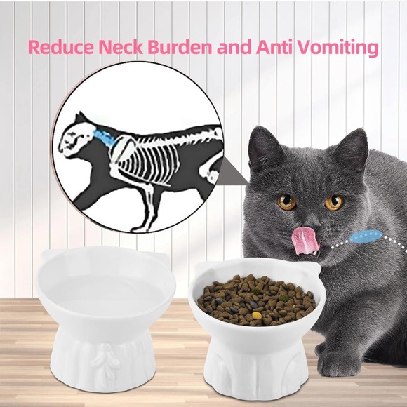 2 pack Ceramic Cat Food Bowl - Picture 4 of 6